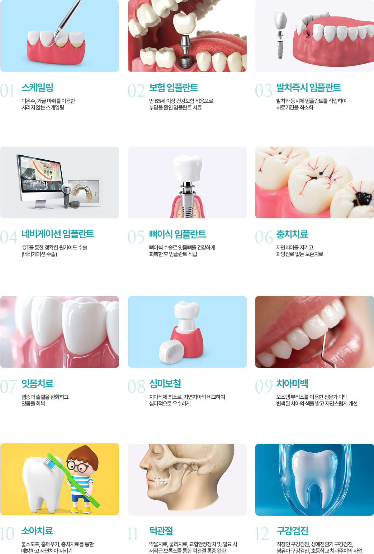 진료과목